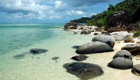 Begin your visa-prepared day with Vietnam’s tranquil ambiance